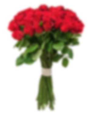 Bouquet 25 red roses