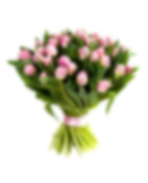 51 multicolored tulips